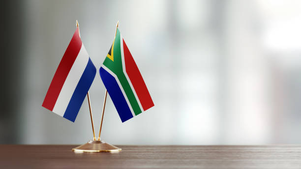 istock Dutch And South African Flag Pair On A Desk Over Defocused Background 925030326
