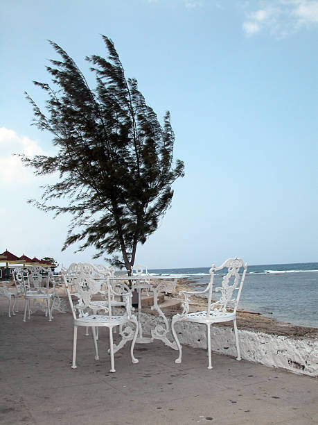 해변 레스토랑 스톡 사진