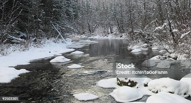 Pipe Creek Im Winter1 Panoramablick Stockfoto und mehr Bilder von Ast - Pflanzenbestandteil - Ast - Pflanzenbestandteil, Bach, Baum