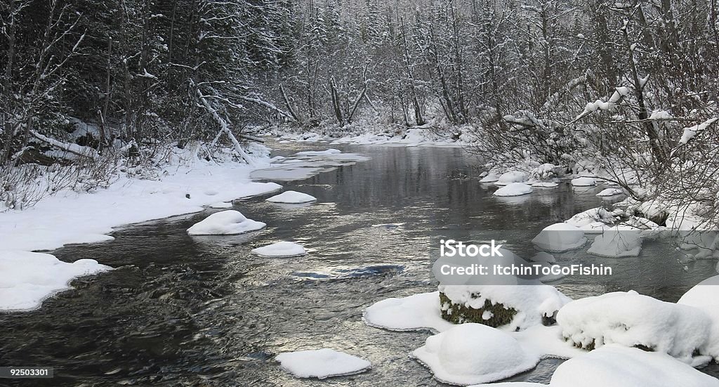 Pipe Creek no inverno#1 panorâmica - Royalty-free Ao Ar Livre Foto de stock