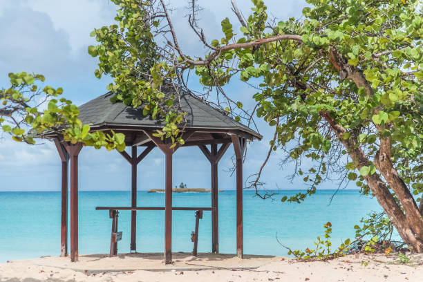 istock Guadeloupe, pink sand beach 925036412