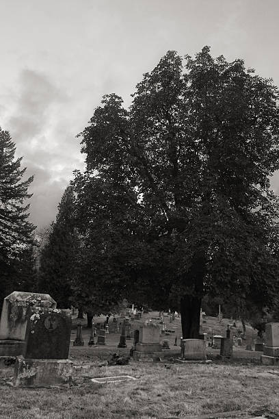 istock Black and White Photo of a Cemetary 92503849