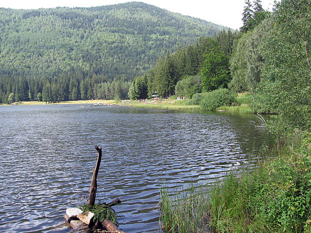 istock Lake and a little beach 92503907