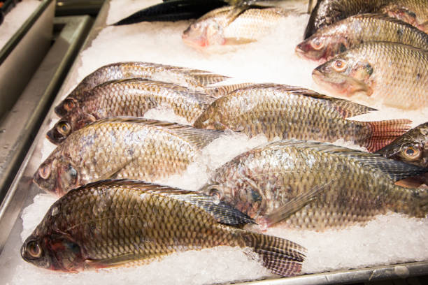 istock Tilapia on the ice in the market. 925041150