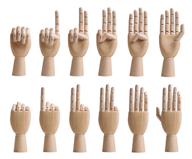 counting wooden hands set isolated on white background - hand sign index finger human finger human thumb imagens e fotografias de stock