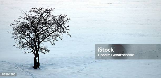 Einsame Baum Stockfoto und mehr Bilder von Baum - Baum, Dezember, Eis