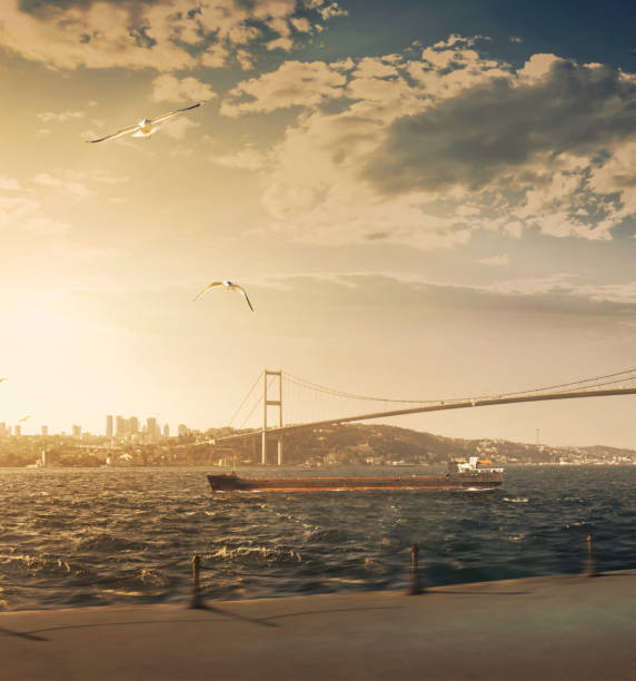 Bosphorus Bridge, Istanbul Bosphorus Bridge, Istanbul turkish culture photos stock pictures, royalty-free photos & images