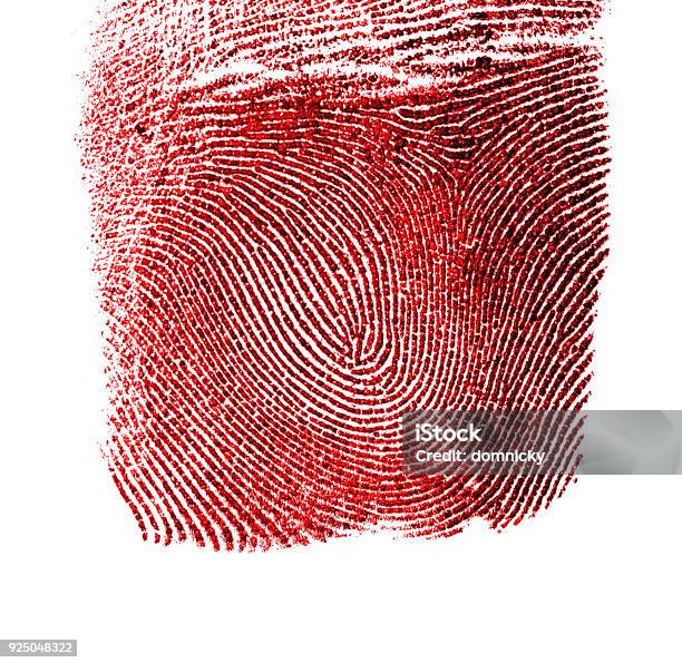 Red Fingerpprint Vector Image Red Fingerprint On White Background Stock Photo - Download Image Now ...
