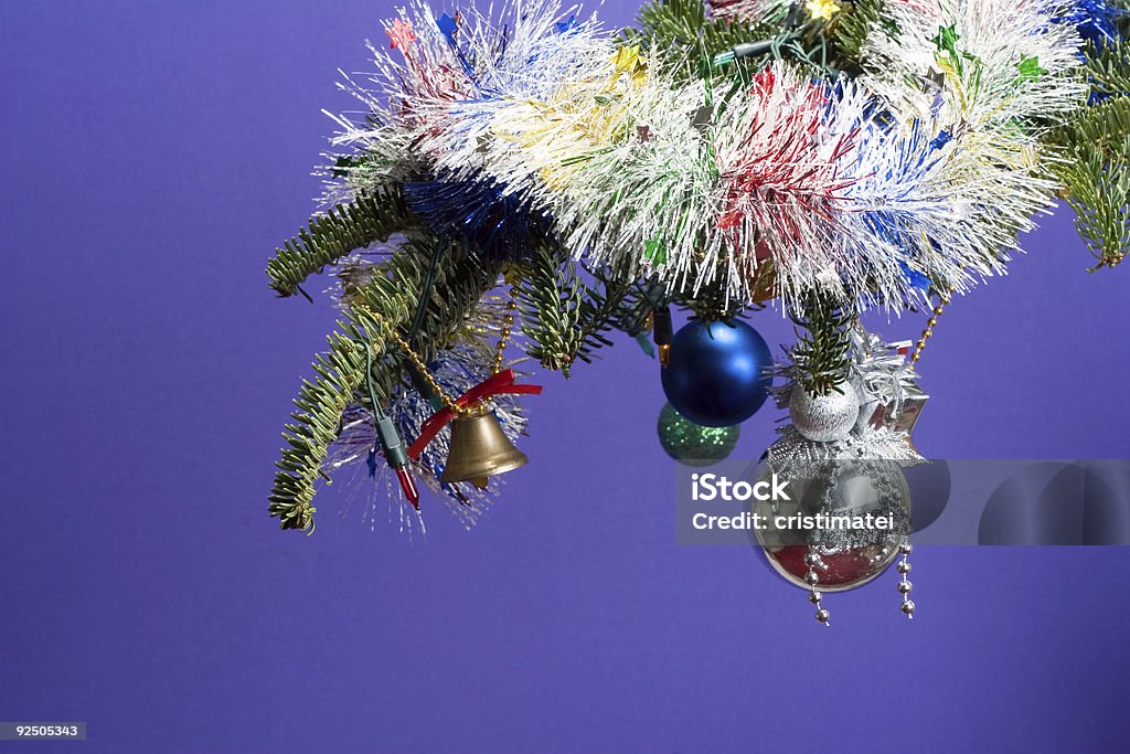 Das christmas tree branch - Lizenzfrei Abendball Stock-Foto