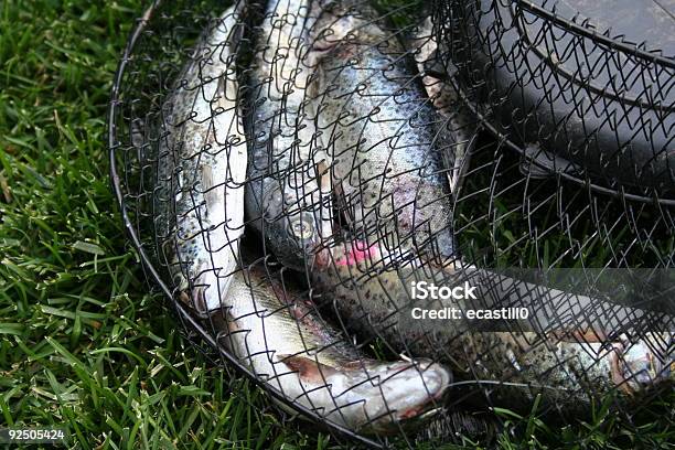 Catch Of The Day Stock Photo - Download Image Now - Catching, Color Image, Cooking