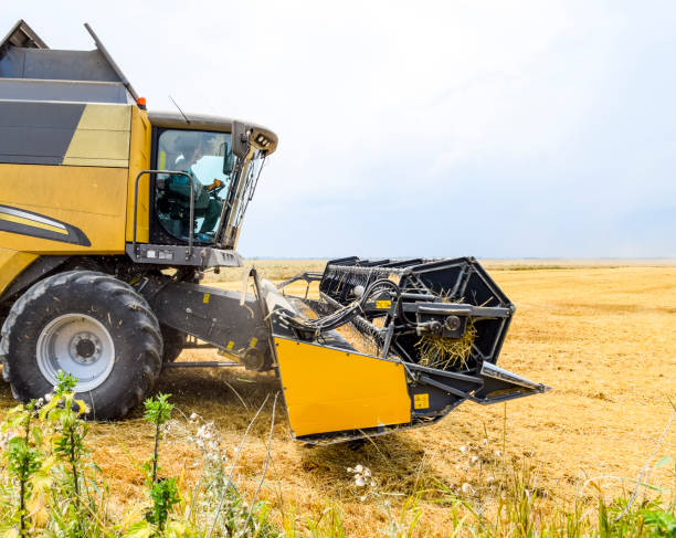 istock Harvesting wheat with a combine harvester. 925056980