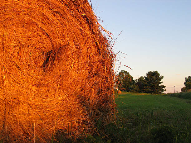 Cтоковое фото Haybale на закат