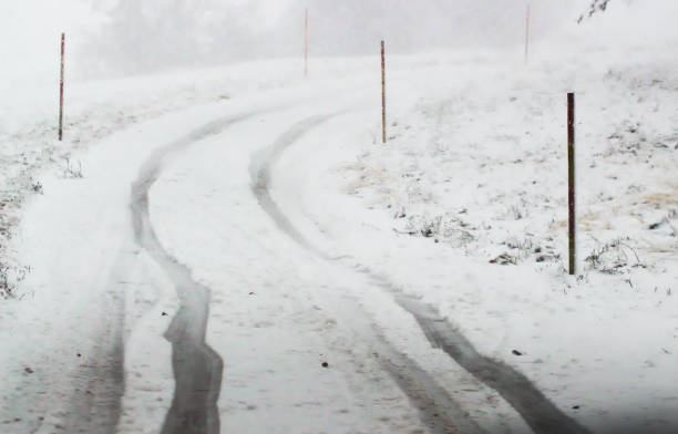 Tire Track on Snowy Country Road