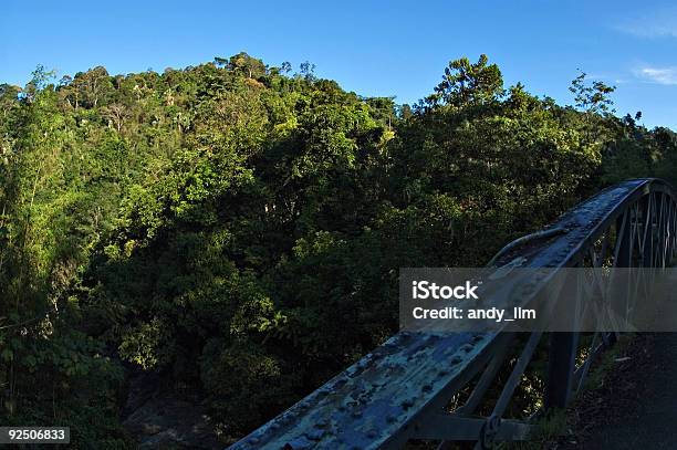 Forest Scenery With Iron Bridge In Foreground Stock Photo - Download Image Now - Adventure, Asia, Blue