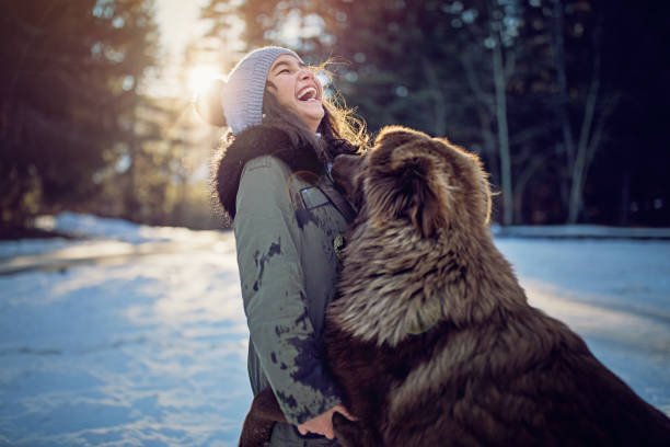 petite fille joue avec son chien dans la forêt enneigée - animal dog winter snow photos et images de collection