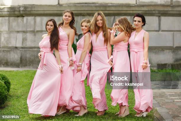 Beautiful Bridesmaids In Pink Dresses Posing And Looking To Camera At Wedding Day Group Wedding Portrait Of Guests Without Bride And Groom Stock Photo - Download Image Now