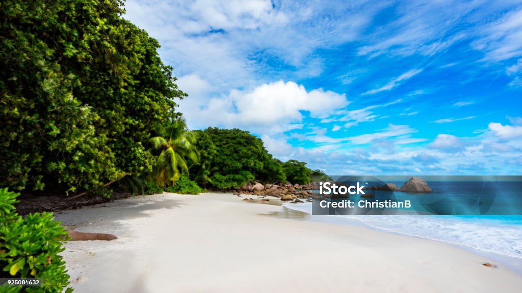 Paradise beach.White sand,turquoise water,palm trees at tropical beach,seychelles 23 Amazing beautiful paradise beach.White sand,turquoise water,palm trees at tropical beach anse lazio, praslin, seychelles Anse Lazio Stock Photo
