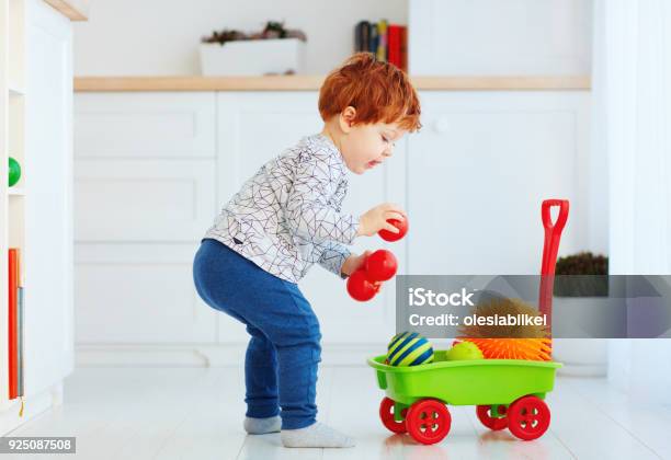 Cute Redhead Toddler Baby Collecting Different Balls Into Toy Pushcart Stock Photo - Download Image Now