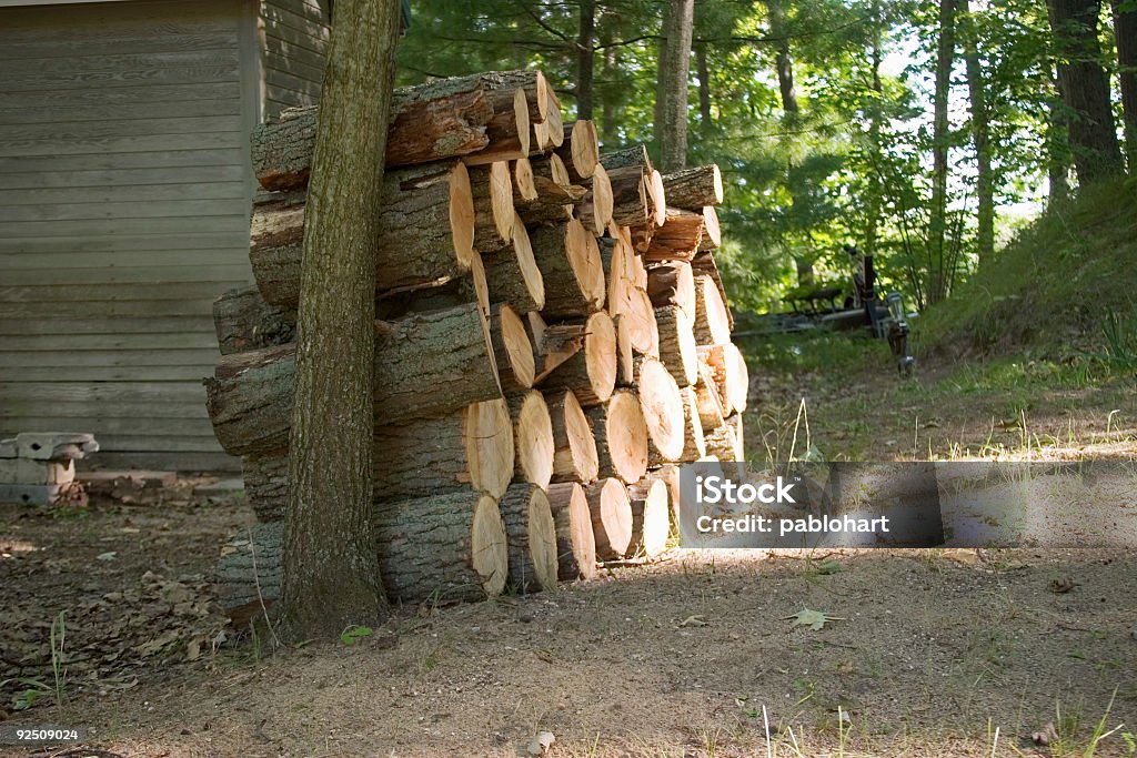 Punhado de toras de madeira entre árvores - Foto de stock de Acampar royalty-free