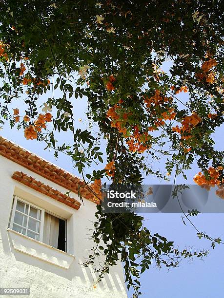 Casa Branca E Desabrochando Árvore In Spanish Village - Fotografias de stock e mais imagens de Agosto