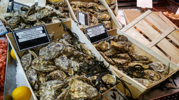 Oysters at the French market Oyster from Normandy and also the town of Cancale from France on market stall. cancale photos stock pictures, royalty-free photos & images