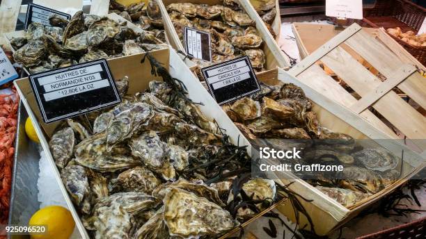 Oysters At The French Market Stock Photo - Download Image Now - Oyster, Normandy, France