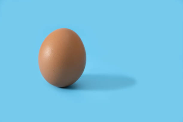 istock Egg is beneficial to the body 925096558