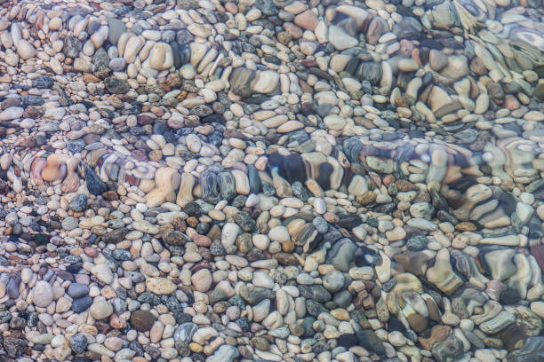 istock pebble on the sea coast 925097834