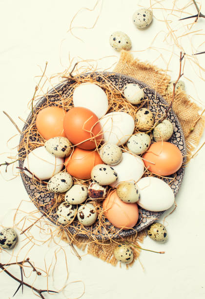 istock Multicolored chicken and quail eggs with straw and branches 925100370