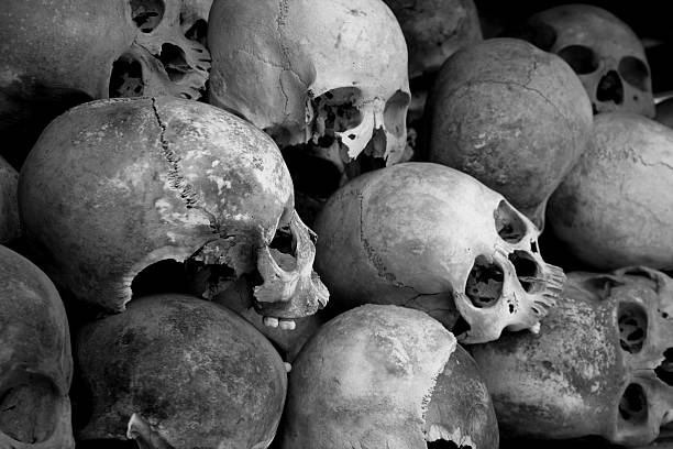 istock human skulls in black and white skeleton 92510849