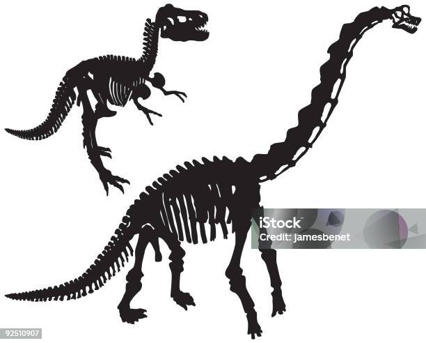 다이노소어 뼈 벡터 아파토사우루스에 대한 스톡 벡터 아트 및 기타 이미지 - 아파토사우루스, 0명, 공룡