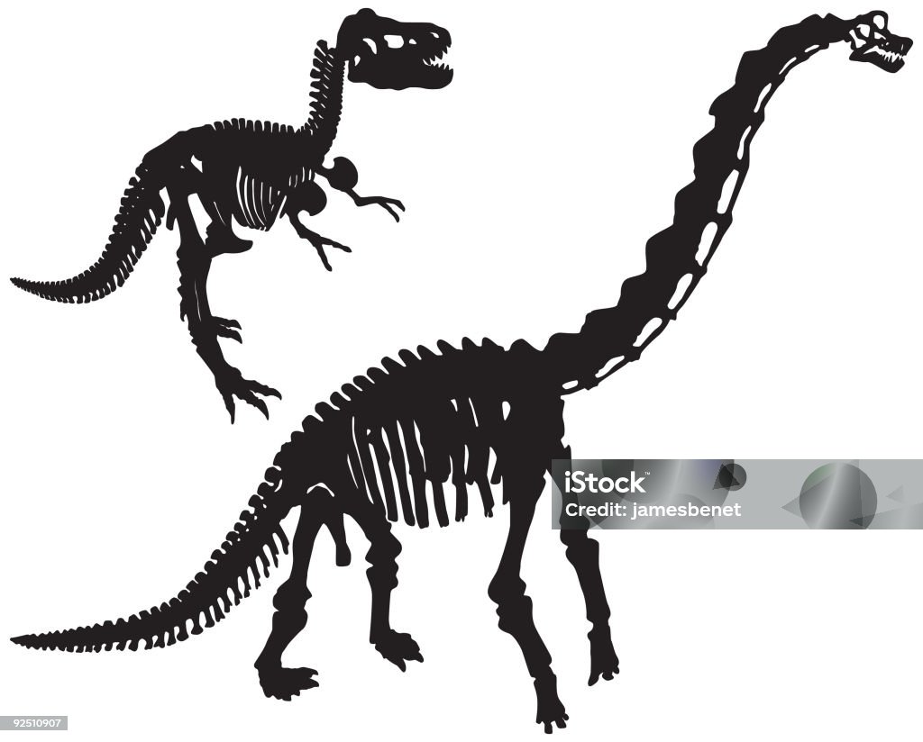 Ossos de dinossauro (Vector - Ilustração de Brontossauro royalty-free