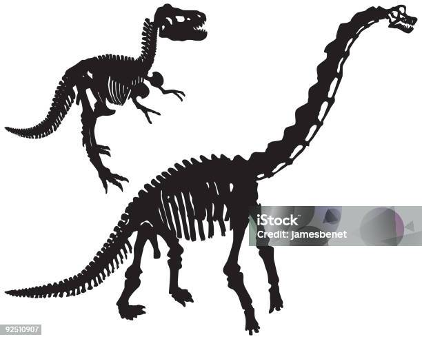 Vetores de Ossos De Dinossauro Vector e mais imagens de Brontossauro - Brontossauro, Dinossauro, Diplódoco