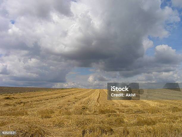 Nuvens De Verão - Fotografias de stock e mais imagens de Ao Ar Livre - Ao Ar Livre, Azul, Campo agrícola