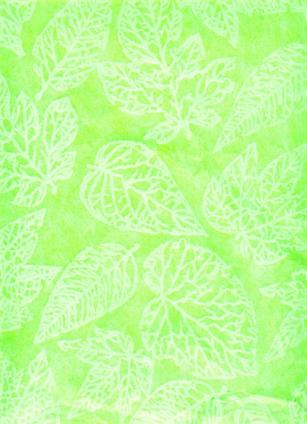 Colorful natural leaves texture isolated on white background