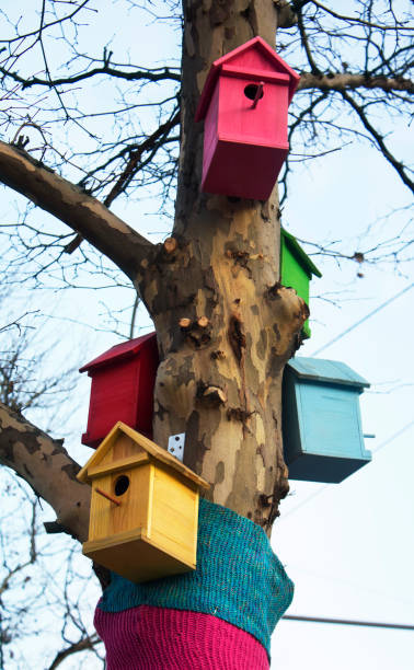 istock Birdhouses on the tree 925115784