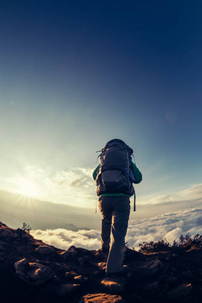 istock successful hiker enjoy the beautiful landscape on mountain top 925118284