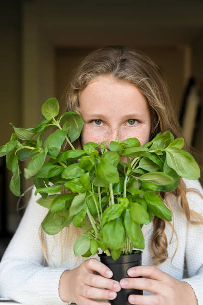 Pretty young girl with basil
