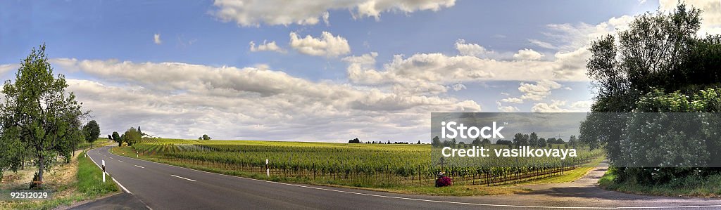 Carretera pano - Foto de stock de Castillo de Pfalzgrafenstein libre de derechos