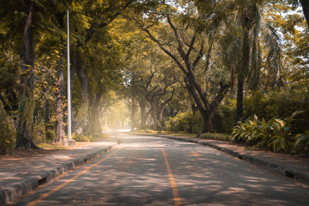 istock Road in natural park. 925123432
