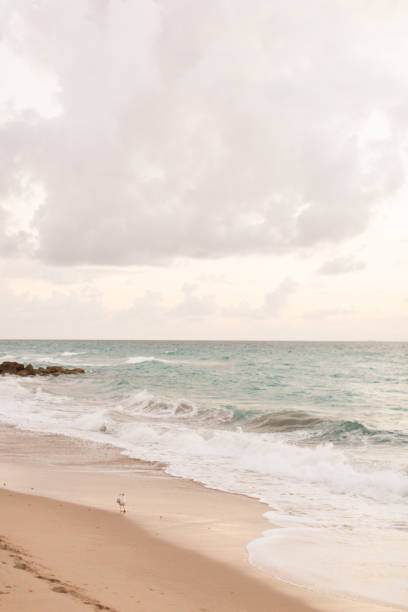 istock Dawn on Palm Beach, Florida 925123634