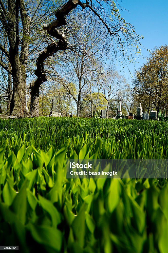 Cimitero nel campo - Foto stock royalty-free di Campo