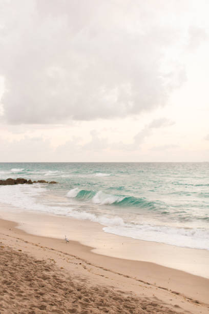 istock Dawn on Palm Beach, Florida 925125882