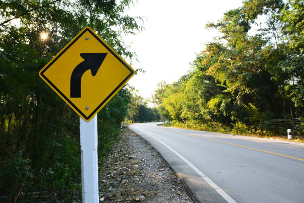 istock Asphalt road with curve traffic sign in forest 925125960