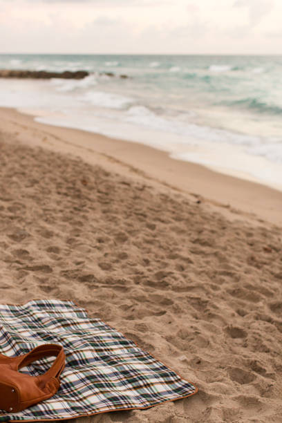 istock Blanket on Palm Beach, Florida 925126346