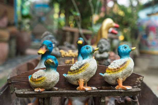 Ducks walking by the lake in Funchal botanical garden in Madeira. Exotic island views. Travel destinations.