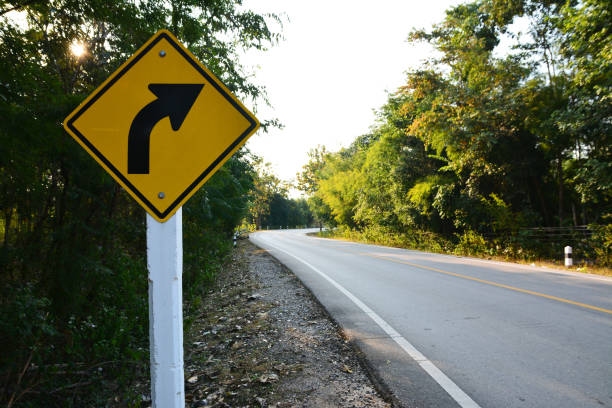 istock Asphalt road with curve traffic sign in forest 925133178