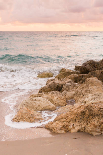 istock Rocky Palm Beach Seashore 925135066