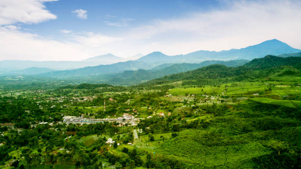 красивая чайная плантация и деревня в утреннем тумане - sabang стоковые фото и изображения