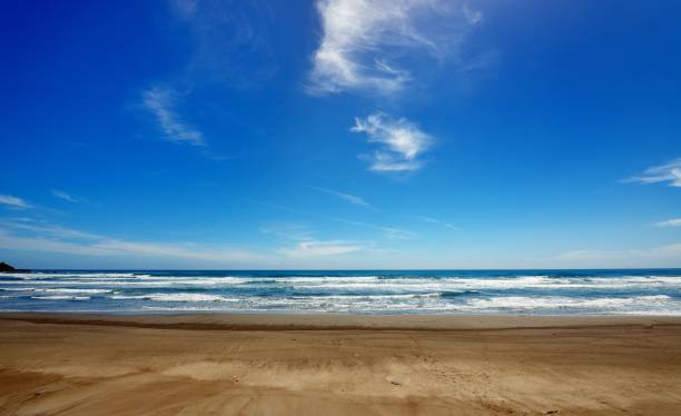 istock Beach in New Zealand 925145228